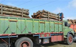 کشف بیش از ۲ تن الوار قاچاق در زنجان