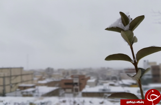تصاویری از بارش برف در شهرکرد