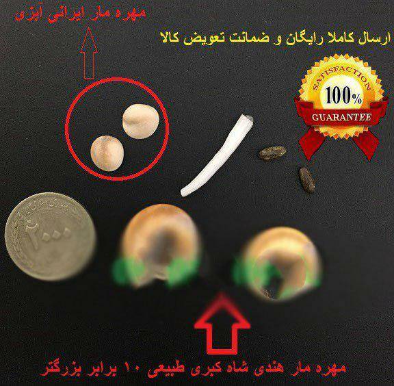 بازار داغ خرید شانس؛ از خر مهره 30 هزار تومانی تا مهره مار 100 میلیونی/ اجاره مهره «زبانبند» دادگاه با گارانتی کتبی هم آمد +عکس بازار داغ خرید شانس؛ از خر مهره 30 هزار تومانی تا مهره مار 100 میلیونی/ اجاره مهره «زبانبند» دادگاه با گارانتی کتبی هم آمد +عکس