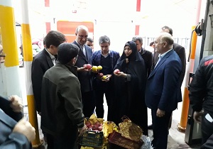 توزیع میوه شب عید در هفته پایانی اسفند / ذخیره سازی ۲ هزار تن میوه در استان قزوین