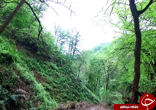 آغوش استقبال گلستان از مسافران نوروز / تجربه زندگی روستایی با ۱۵۰ اقامتگاه بوم گردی