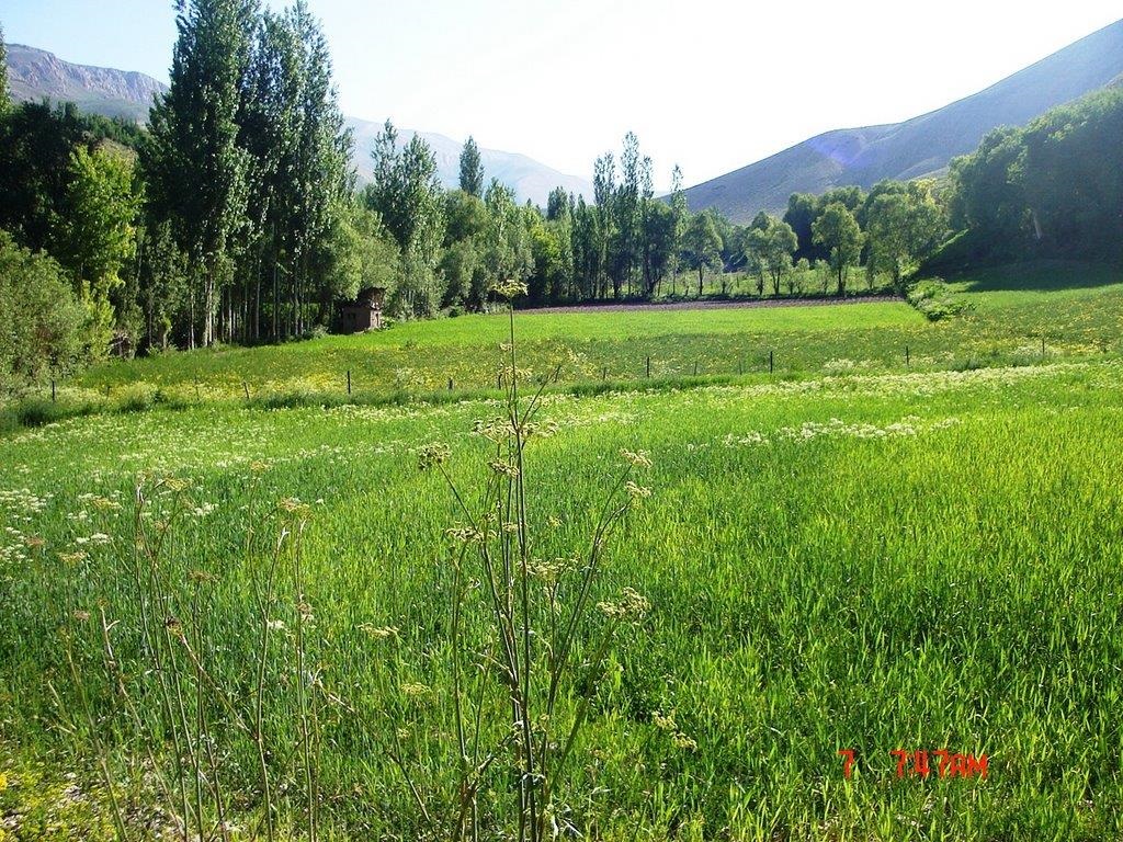 طرح «روستاگردی بهاری» در نوروز ۹۸ اجرا می‌شود
