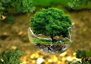 همایش ملی علوم زیستی در دامغان
