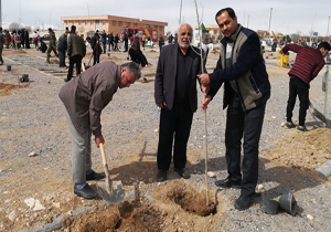 کاشت یک هزار اصله نهال در بروجن