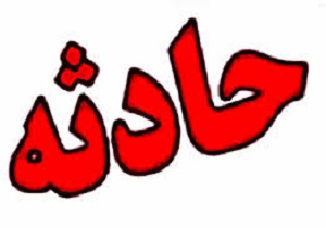 دزدان خودرو پس از سرقت «بی ام و» داخل کانال آب سقوط کردند