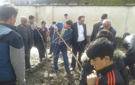 غرس ۲۰۰ نهال گیلاس وحشی در فومن