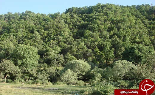 شهر مرزی پیرانشهر با طبیعت بکر و کم نظیر در انتظار گردشگران نوروزی