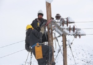 قطعی برق در برخی مناطق شهری و روستایی با شکستگی و سقوط شاخه درختان
