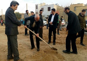 غرس نهال در شهرک شهید همت شاهرود