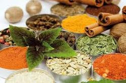 زاگرس بالغ بر دو هزار گونه گیاهی دارد