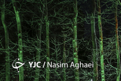 اولین برف پاییزی در همدان