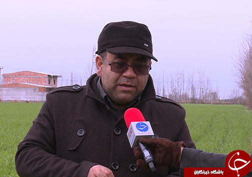 آبماندگی مشکل نیمی از زمین&zwnj;های کشاورزی گلستان