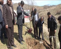 آغاز جنگل و کپه کاری در ۳۹ هکتار تویسرکان