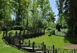 درختکاری باید در اولویت شهر قم قرار بگیرد/قم تا سال ۱۴۰۰ به سرانه استاندارد فضای سبز می‌رسد