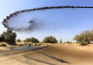 عملیات مالچ پاشی و نهال کاری در جاسک آغاز شد