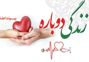 اهدا عضو مرد ۳۵ ساله زارچی ناجی جان بیماران شد