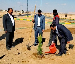 توزیع و کاشت ۳ هزار نهال در بافران