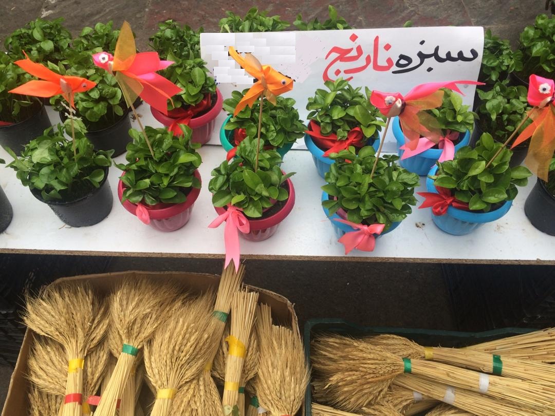 پیشنهاد جالب برای سبزه هفت&zwnj;سین