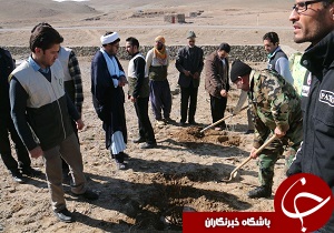 توزیع بیش از ۳۰ هزار نهال گل محمدی در درمیان
