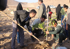 عملیات درختکاری در بام کوشک بافق اجرا شد