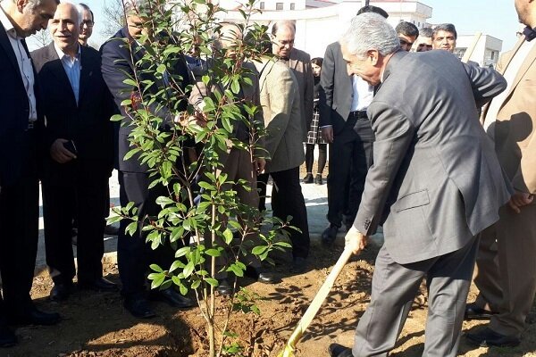 طرح کاشت ۱۰ هزار اصله نهال در دانشگاه گیلان