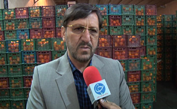 توزیع میوه دولتی شب عید از  ۲۵ اسفند