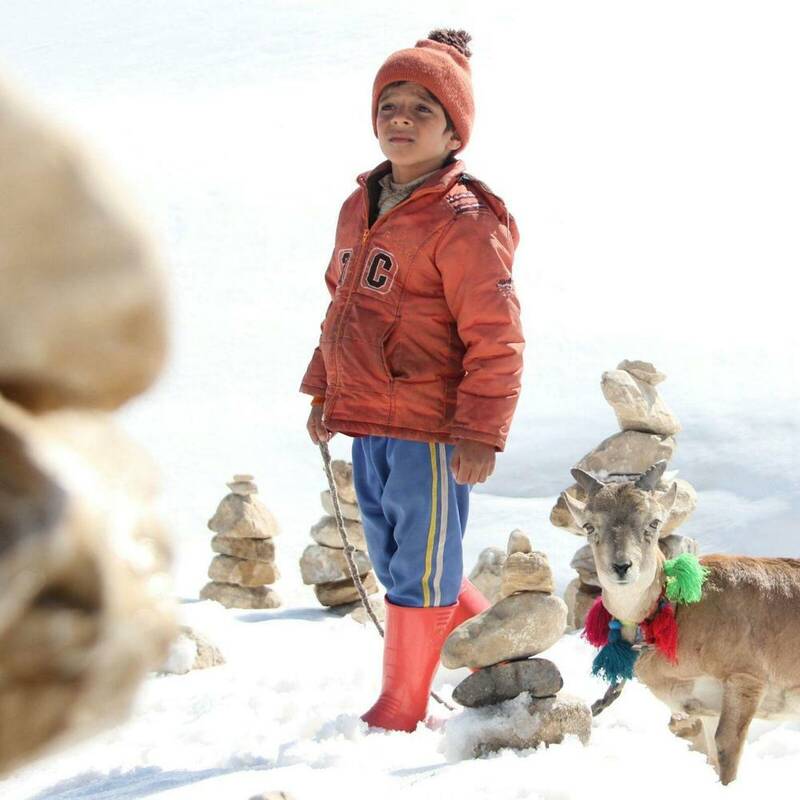 کم فروش&zwnj;ترین فیلم&zwnj;های اکران سال ۱۳۹۷ را بشناسید