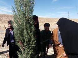 غرس ده ها اصل درخت به یاد شهدا