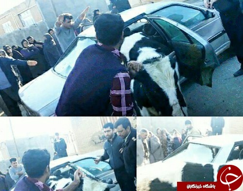 سرقت مسلحانه ناکام احشام در نهاوند با ۳ کشته و زخمی