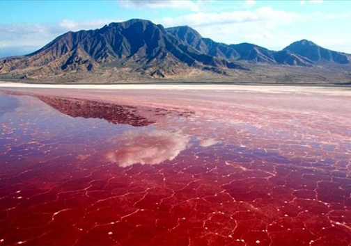 سفر به سرزمین ناشناخته ها/ دریا تا مریخ را در ۱۰۰ کیلومتر طی کنید