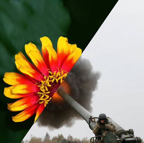 دپویی//////تصاویری دیدنی و تامل برانگیز از تضادهای دنیا +تصاویر