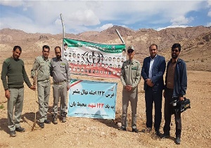 کاشت ۱۲۳ اصله نهال در شهرستان خوسف
