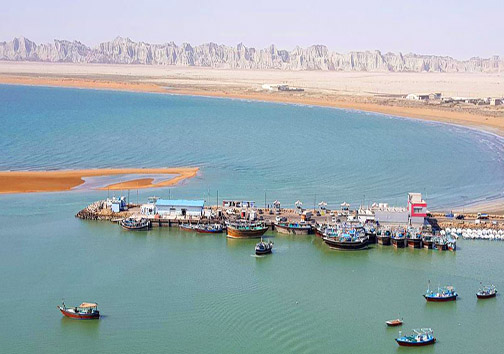 بندر گواتر؛ بهشت پرندگان مهاجر
