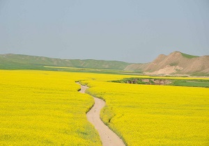 طبیعت "ماسان کوپ" با زیبایی‌های خیره‌کننده + فیلم