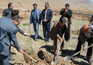 کاشت بیش از ۲۰۰ اصله نهال در دانشگاه پیام نور شلمزار