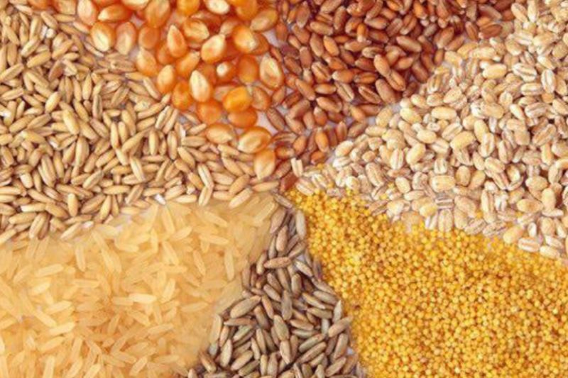 راه اندازی خط تولید نهاده&zwnj;های دامی، قدمی چشمگیر به سمت اقتصادی بهتر برای دامداران + فیلم