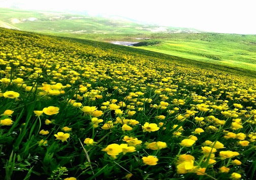 گذرگاهی با طبیعتی بکر خدادادی در آذربایجان شرقی
