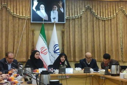 یک میلیون قالیباف سال آینده بیمه می&zwnj;شوند