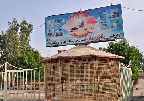 هویزه، قلب تپنده ۸ سال دفاع مقدس
