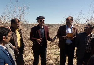 نخستین کارگاه آموزشی ترویجی محصولات باغی در خاتم برگزار شد
