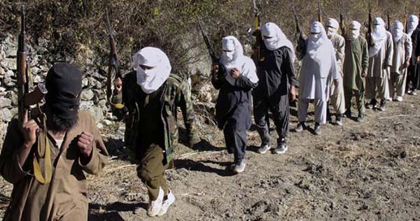 کشته شدن 31 عضو شبکه القاعده در ولایت غزنی