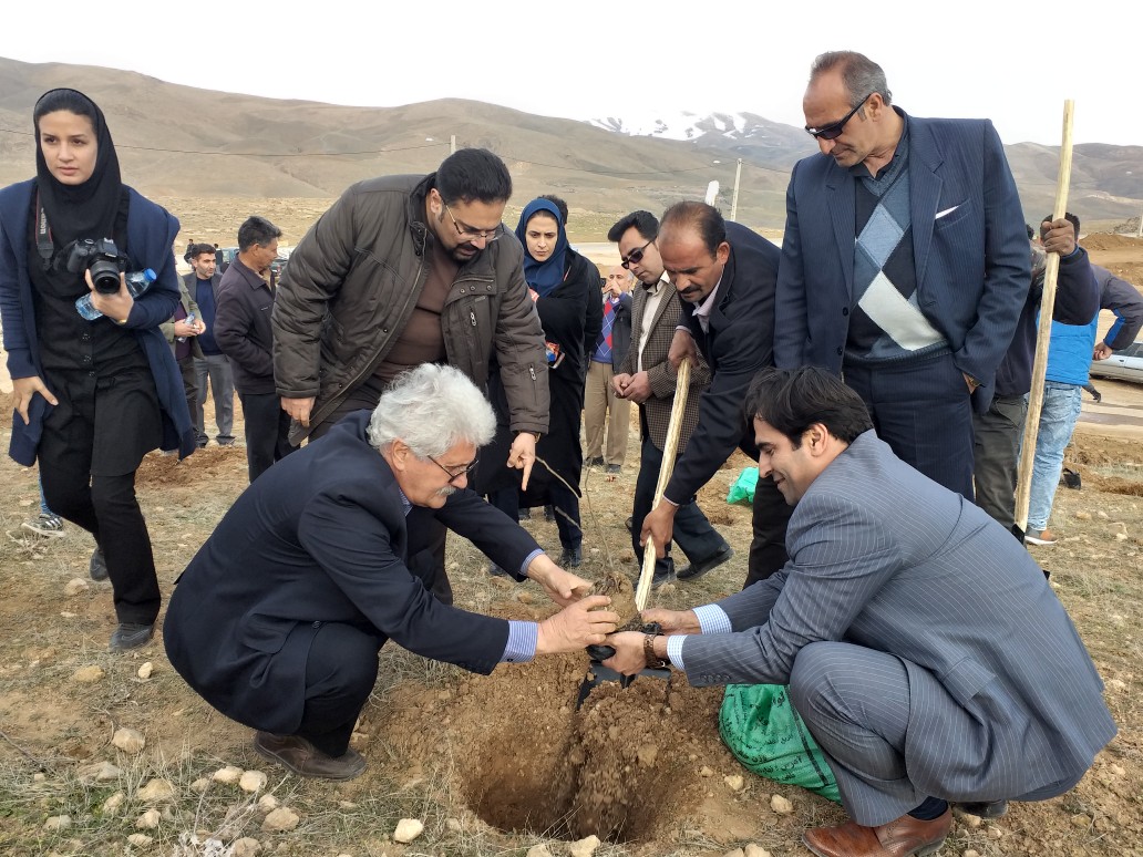 درختکاری ۷هکتار از بام نهاوند