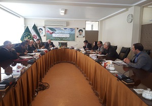 مشوق یارانه صادراتی به صادر کنندگان سیب درختی استان پرداخت می‌شود