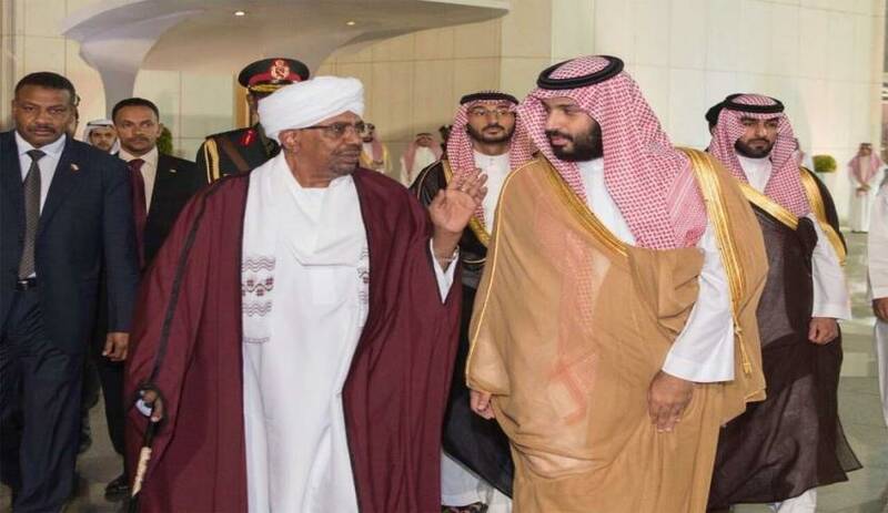لاپوشانی اوضاع بد بن سلمان در سیاست خارجی با گاو&zwnj;های وحشی و دختران خواننده! + تصاویر