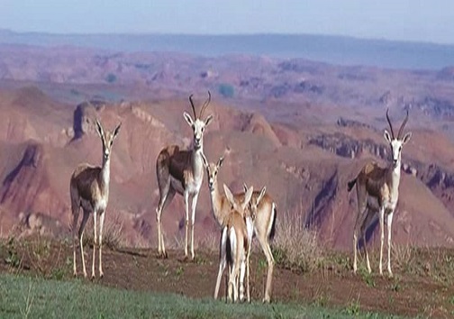 دشت آزادگان، سرزمین آب و آفتاب
