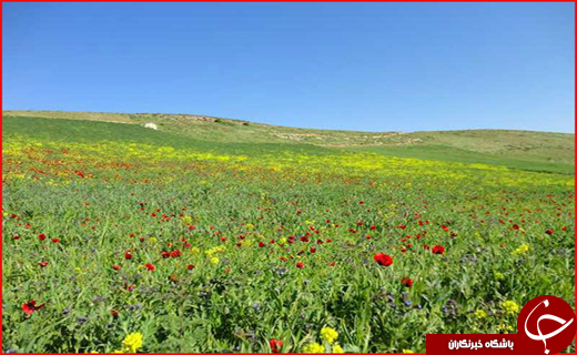 سفر به شهر چشمه های آب گرم در ایام نوروز + تصاویر و فیلم