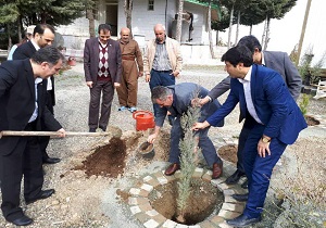نهال "دانشنامه فرهنگ،هنرو تمدن کردستان " در آبیدرکاشته شد