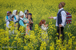 پایی که جا ماند