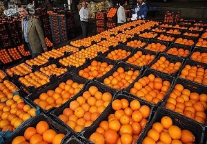 توزیع میوه شب عید از امروز آغاز می‌شود
