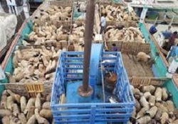 صحنه‌اى دردناک از غرق شدن خانواده‌ها در رود دجله + فیلم